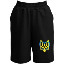Мужские шорты герб Украины с сердцем