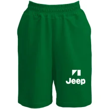 Шорты Jeep (2)