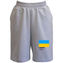 Мужские шорты PANTONE Freedom blue, energizing yellow