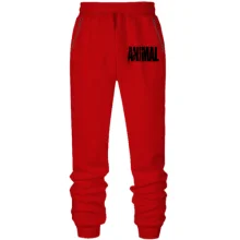 Штаны из футера без начеса Animal Stak