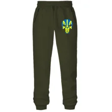 Женские трикотажные штаны "Череп с гербом"