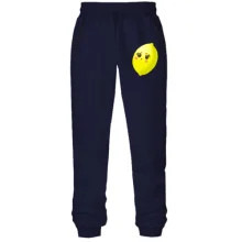 Штани з футера без начосу Crazy Lemon