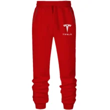 Штаны из футера без начеса Tesla — вышитый логотип (Вышивка)