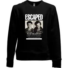 Детский свитшот без начеса Escaped (Грабители Один Дома)
