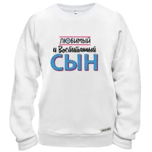 Свитшот любимый и воспитанный сын