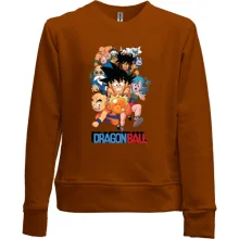 Детский свитшот без начеса Dragon Ball