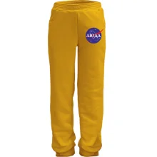 Детские штаны Люда (NASA Style)