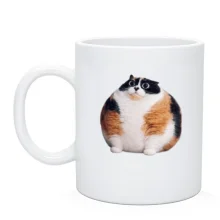Чашка Котість