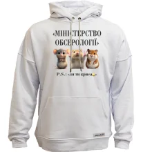 Худи без начеса Министерство Обсерологии