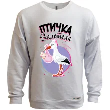 Свитшот без начеса Пташка залетіла