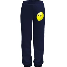Детские штаны Crazy Lemon