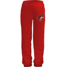 Детские штаны Phoenix Coyotes — вышитая эмблема (Вышивка)