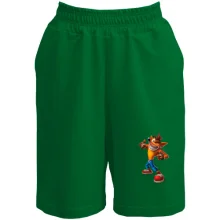 Мужские шорты с Crash Bandicoot