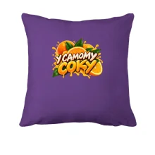 Подушка с надписью «В самом соку»