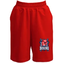 Шорты boxing 2