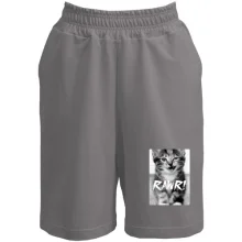 Чоловічі шорти Rawr кіт