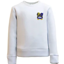 Дитячий світшот Українська дівчина міні (Вишивка)