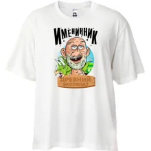 Футболка Oversize Именинник - древний экспонат!