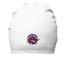 Хлопковая шапка Toronto Raptors