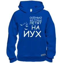 Худи BASE Осенью все птицы летят на йух