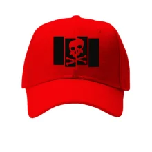 Кепка Black Flag с черепом