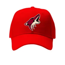 Кепка Phoenix Coyotes