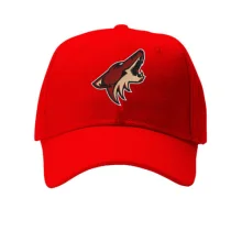 Кепка Phoenix Coyotes — вишита емблема (Вишивка)