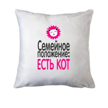 Подушка Семейное положение - есть кот