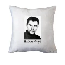 Подушка Василь Стус