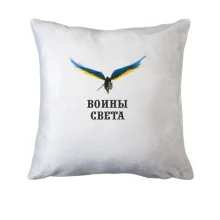 Подушка Воины света