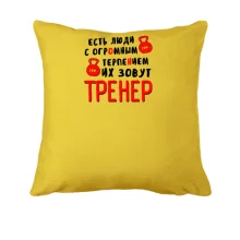 Подушка для тренера 