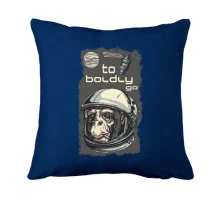Подушка to boldly go