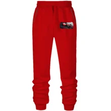 Штаны из футера без начеса Ferrari F1