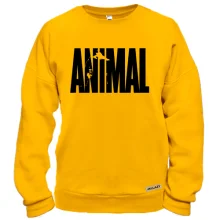 Свитшот Animal Pac