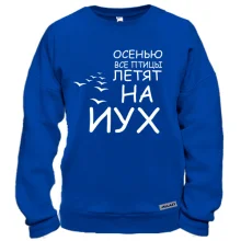 Свитшот Осенью все птицы летят на йух