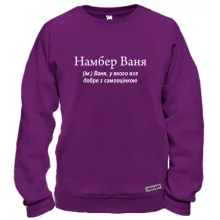 Свитшот для Вани "НамберВаня"