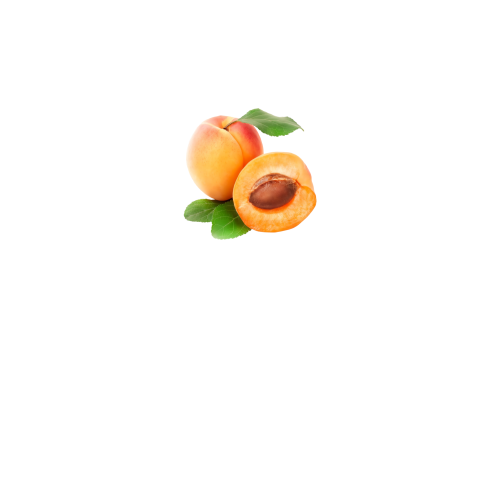 вид спереди