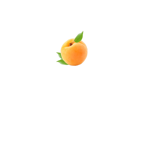 вид спереди