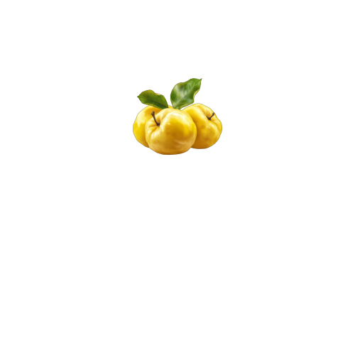 вид спереди
