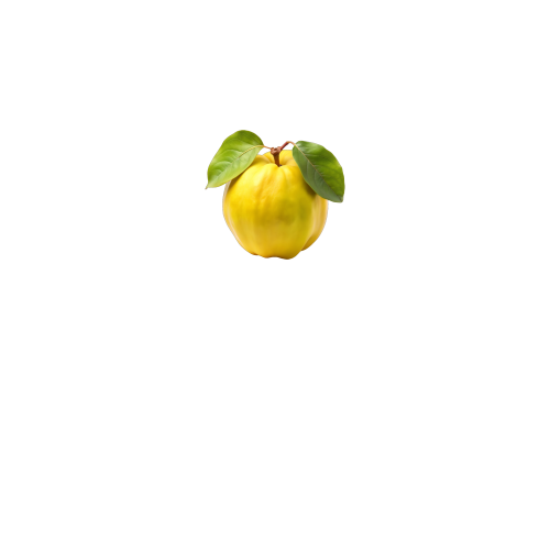 вид спереди