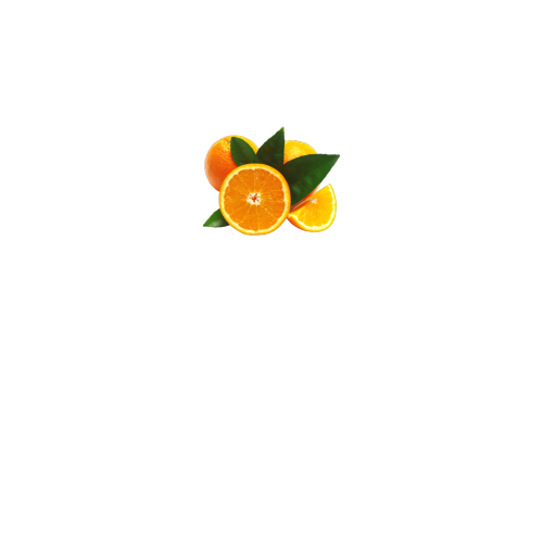 вид спереди