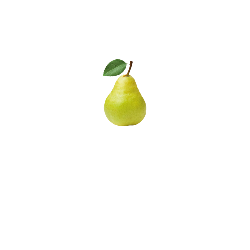 вид спереди