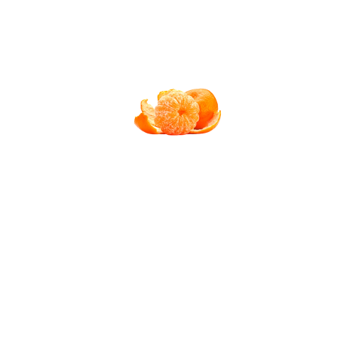 вид спереди