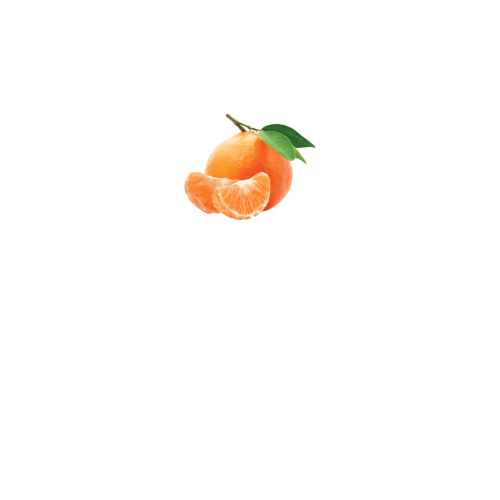 вид спереди