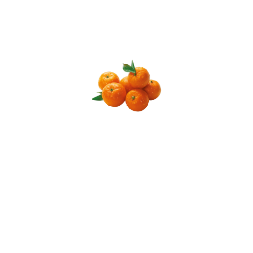 вид спереди