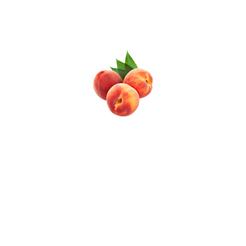 вид спереди