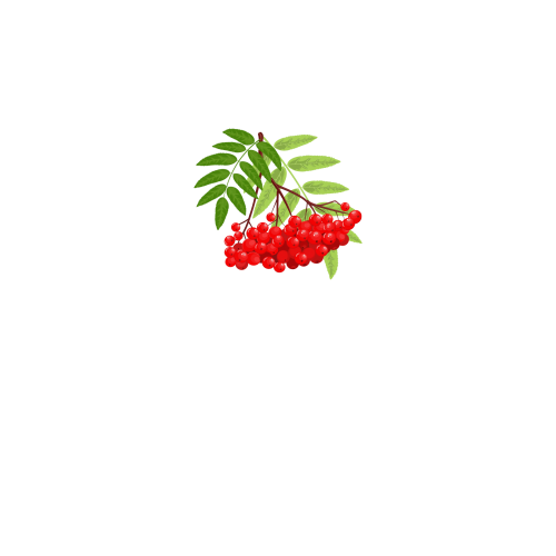 вид спереду