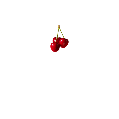 вид спереду