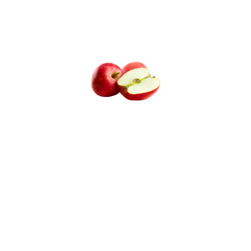 вид спереду