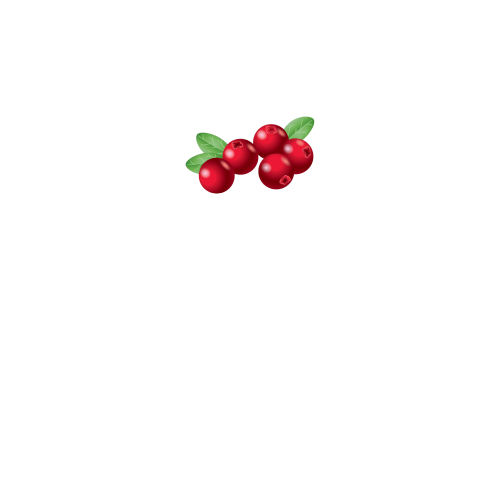 вид спереду